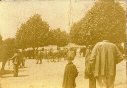 /medias/customer_2/NUMERISATION_2025/45 Fi Collection Pierre Allier/45_Fi_178_jpg_/0_0.jpg